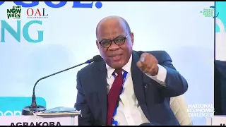 Dr Olisa Agbakoba SAN at the Nigeria Economic Summit Group Dr Olisa Agbakoba SAN at the Nigeria Economic Summit Group