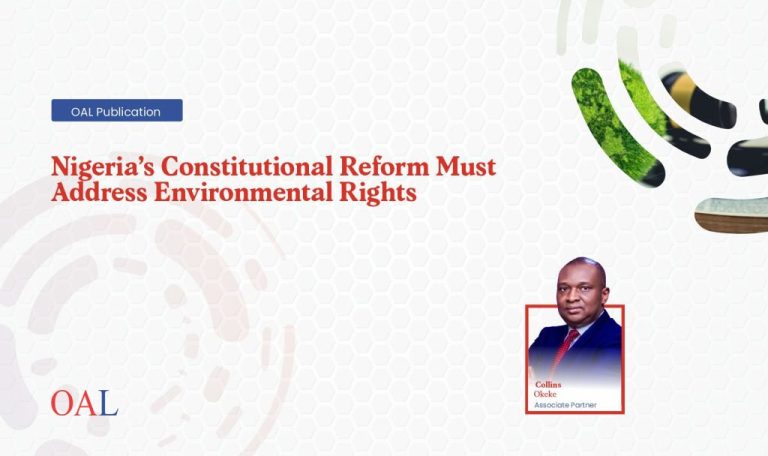 Nigerias Constitutional Reform Must Address Environmental Rights