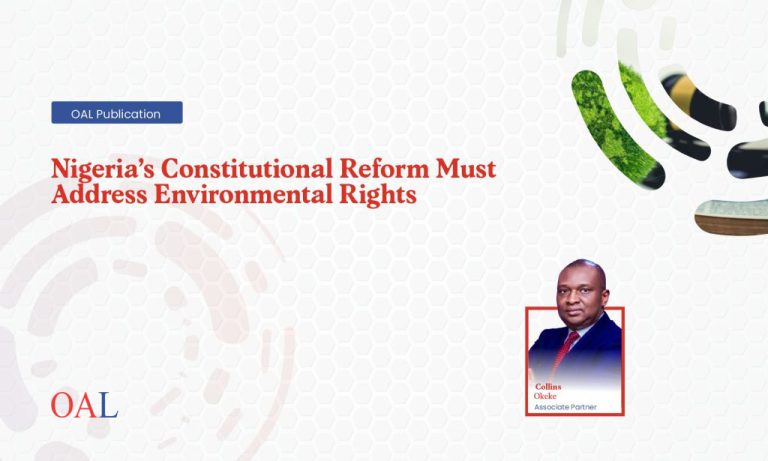 Nigerias Constitutional Reform Must Address Environmental Rights