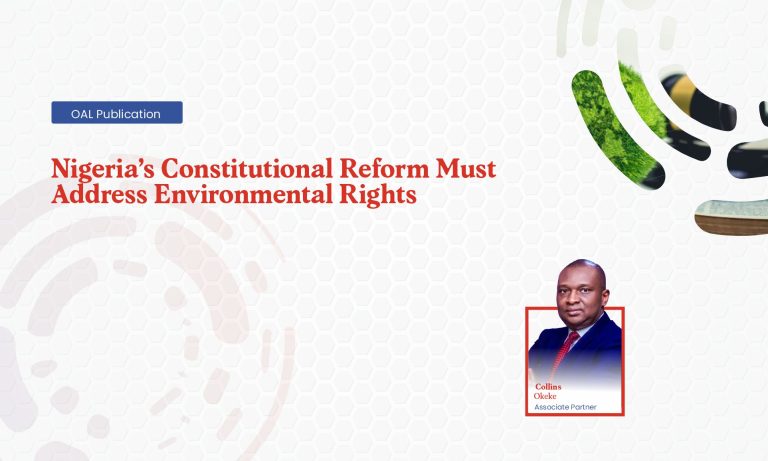 Nigerias Constitutional Reform Must Address Environmental Rights