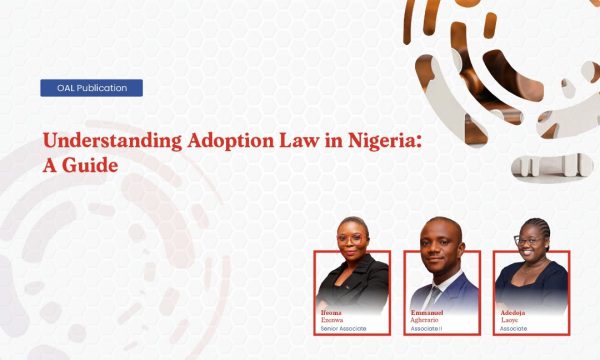 Understanding Adoption Law in Nigeria - A Guide