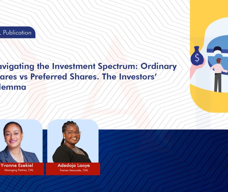 Navigating the Investment Spectrum: Ordinary Shares vs Preferred Shares. The Investors’ Dilemma.